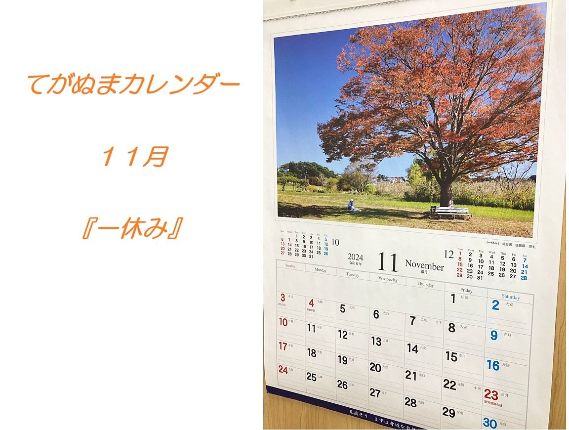 我孫子市　てがぬまカレンダー 11月