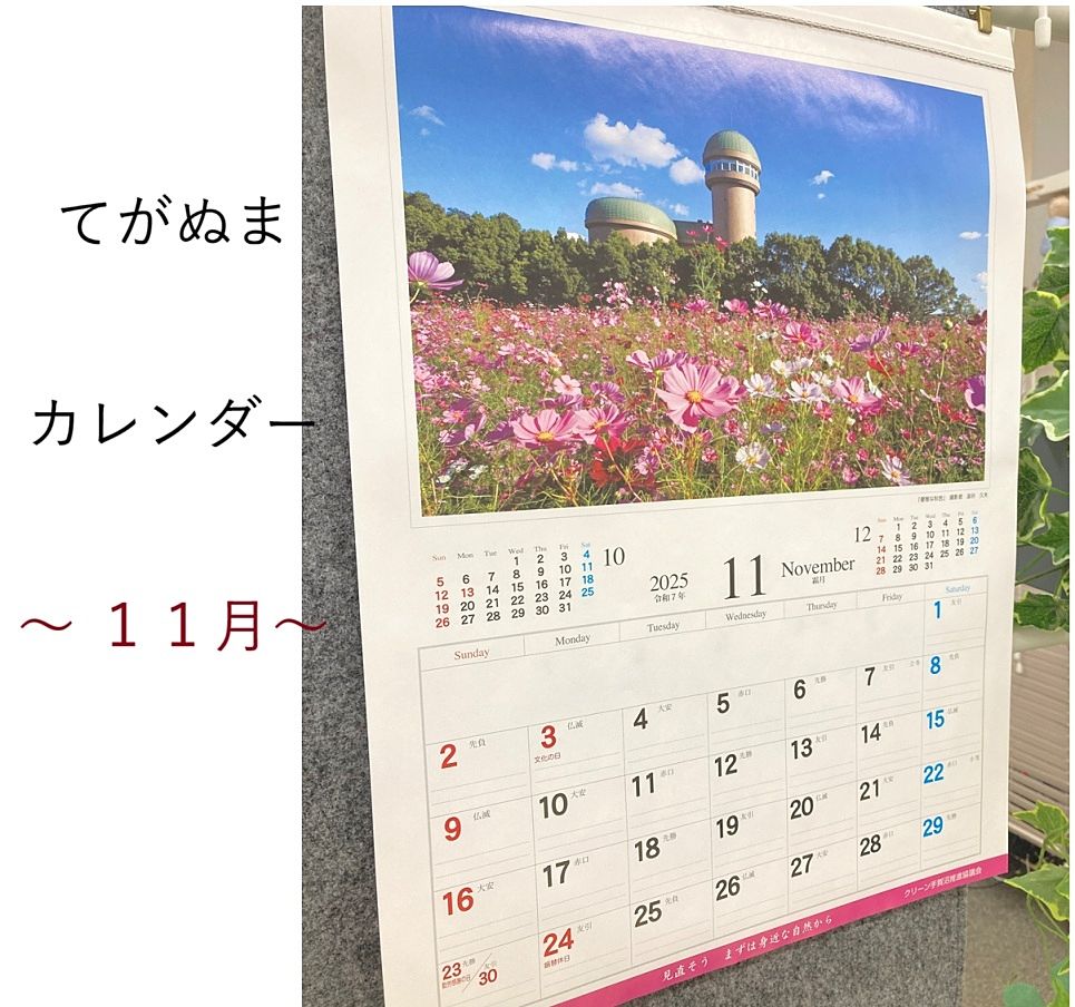 我孫子市　てがぬまカレンダー 　11月