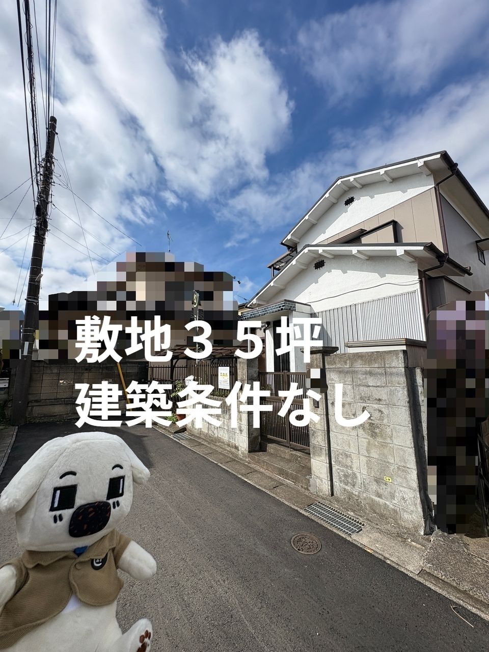 ２０２６年７月撮影