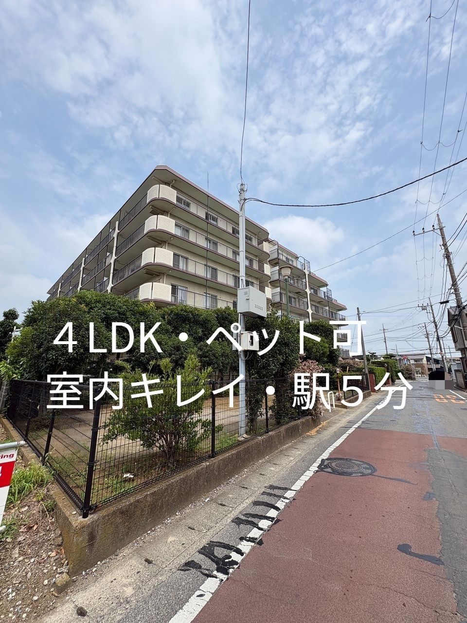 光が入り、風が抜ける解放感のあるお部屋が魅力♪